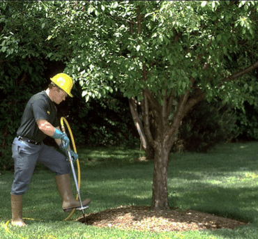 Deep Root Fertilization