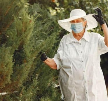 Tree Disease and Pest Control